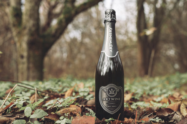 Fortune Favors the Brave 4-Pack