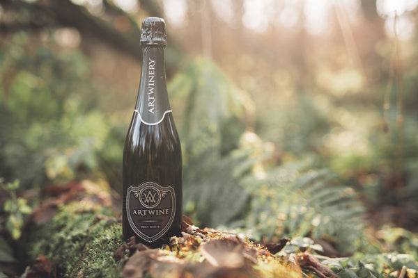 Fortune Favors The Brave 4-Pack